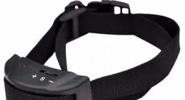 Антиламентна яка: как да използвам устройство, без да навредите на кучето